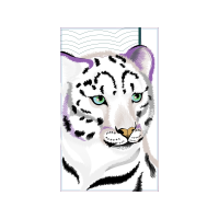 Tiger Animals Tiger Animals