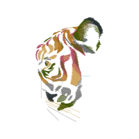 Visual Arts Animals Visual Arts Animals