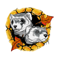 Visual Arts Animals Visual Arts Animals