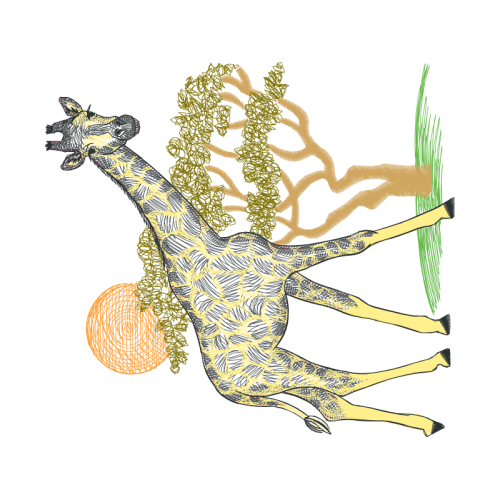 Visual Arts Animals Visual Arts Animals