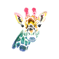 Visual Arts Animals Visual Arts Animals