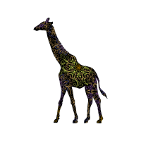 Visual Arts Animals Visual Arts Animals