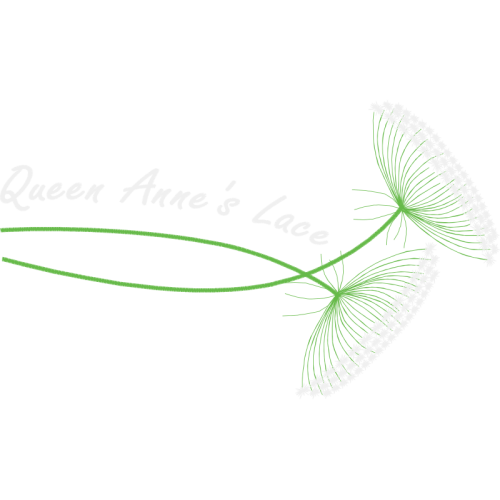 Dragonfly Fairy Dragonfly Fairy