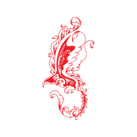 Drawing Fairy Drawing Fairy