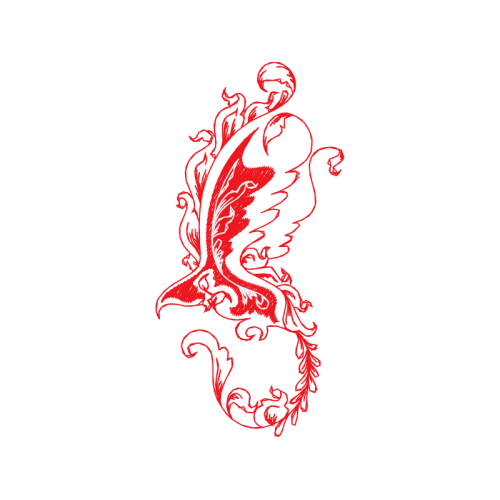 Drawing Fairy Drawing Fairy