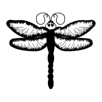 Illustration Fairy Illustration Fairy