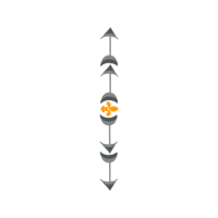 Shelf Fairy Shelf Fairy