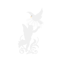 Accipitriformes Fairy