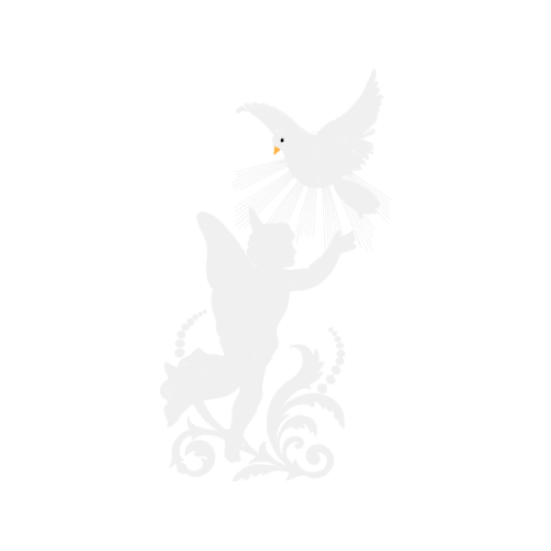 Accipitriformes Fairy Accipitriformes Fairy