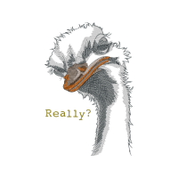 Drawing Fairy Drawing Fairy