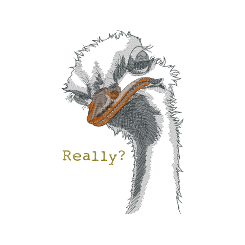 Drawing Fairy Drawing Fairy