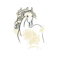 Drawing Fairy Drawing Fairy