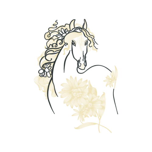 Drawing Fairy Drawing Fairy