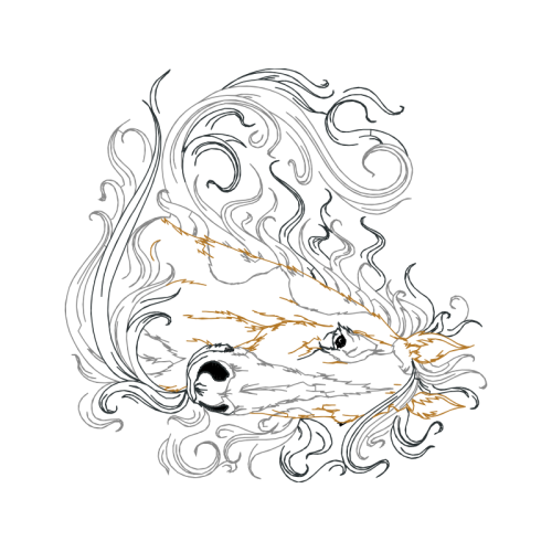 Drawing Fairy Drawing Fairy