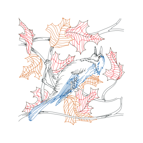 Illustration Fairy Illustration Fairy