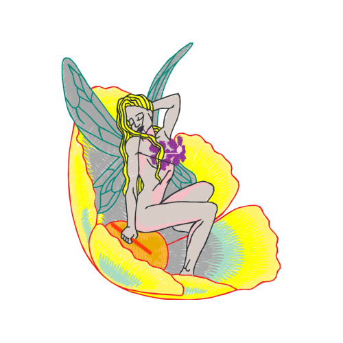 Illustration Fairy Illustration Fairy