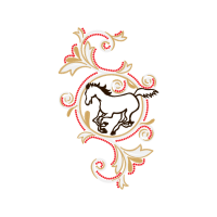 Illustration Fairy Illustration Fairy