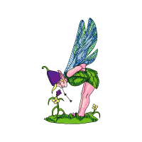 Illustration Fairy Illustration Fairy