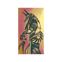 Illustration Fairy Illustration Fairy