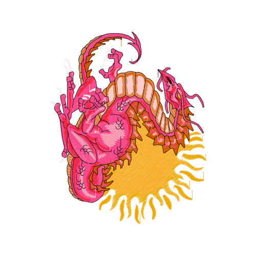 Illustration Fairy Illustration Fairy