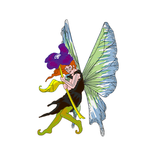 Illustration Fairy Illustration Fairy