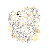 Illustration Fairy Illustration Fairy