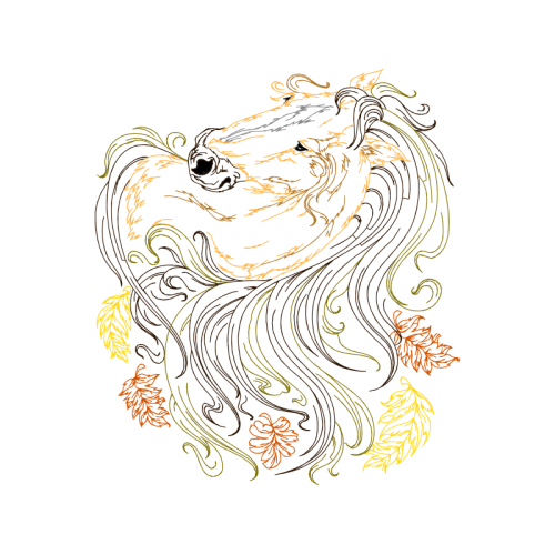 Illustration Fairy Illustration Fairy