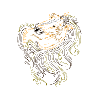 Illustration Fairy Illustration Fairy