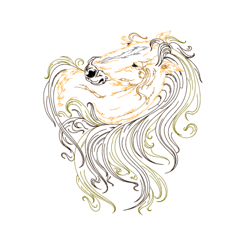 Illustration Fairy Illustration Fairy