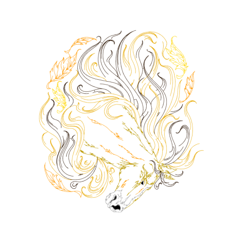 Illustration Fairy Illustration Fairy