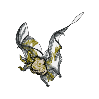 Line Art Fairy Line Art Fairy