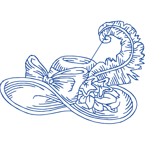 Line Art Fairy Line Art Fairy