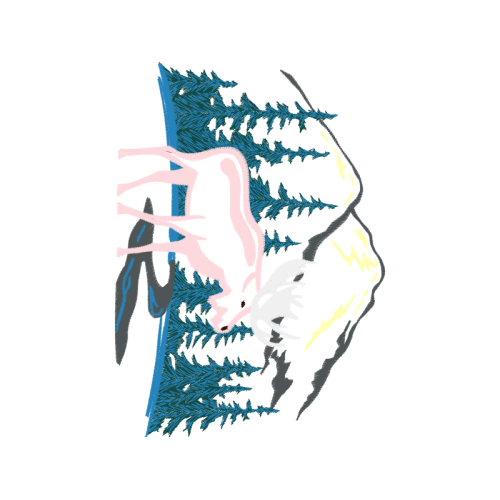 Meter Fairy Meter Fairy