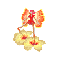 Orchids Fairy Orchids Fairy