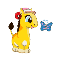 Pieridae Fairy Pieridae Fairy