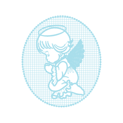 Samoa Conservation Society Fairy Samoa Conservation Society Fairy