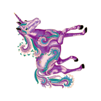 Visual Arts Fairy Visual Arts Fairy