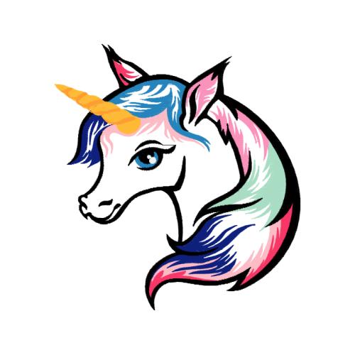 Unicorn Fairy Unicorn Fairy