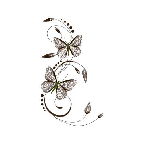 Image Fairy Image Fairy