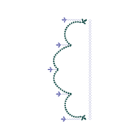 Circle Fairy Circle Fairy