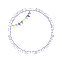 Circle Fairy Circle Fairy