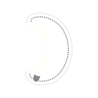 Circle Fairy Circle Fairy