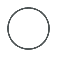 Circle Fairy Circle Fairy