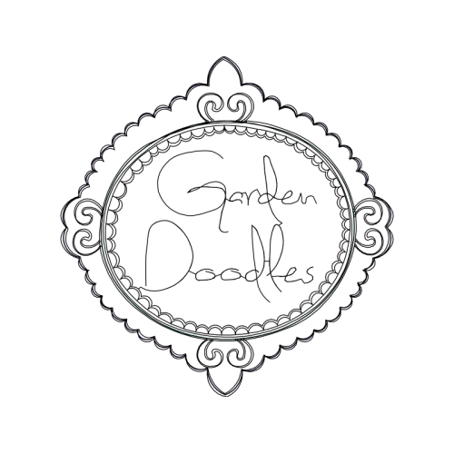 Coin Fairy Coin Fairy