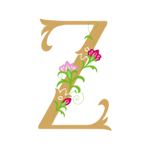 Illustration Fairy Illustration Fairy