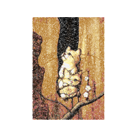 Morning Fairy Morning Fairy