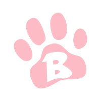 Image Fairy Image Fairy