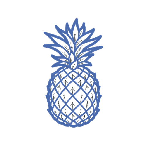 Pineapple Fairy Pineapple Fairy