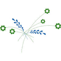 Pixta Fairy Pixta Fairy