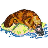 Platypus Fairy Platypus Fairy